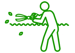 Hedge and lawn clippings