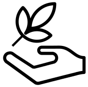 gruenflaeche